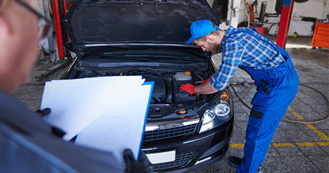 vehicle-inspections